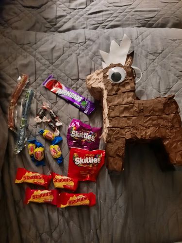 Customer photo review of Reindeer Piñatagram