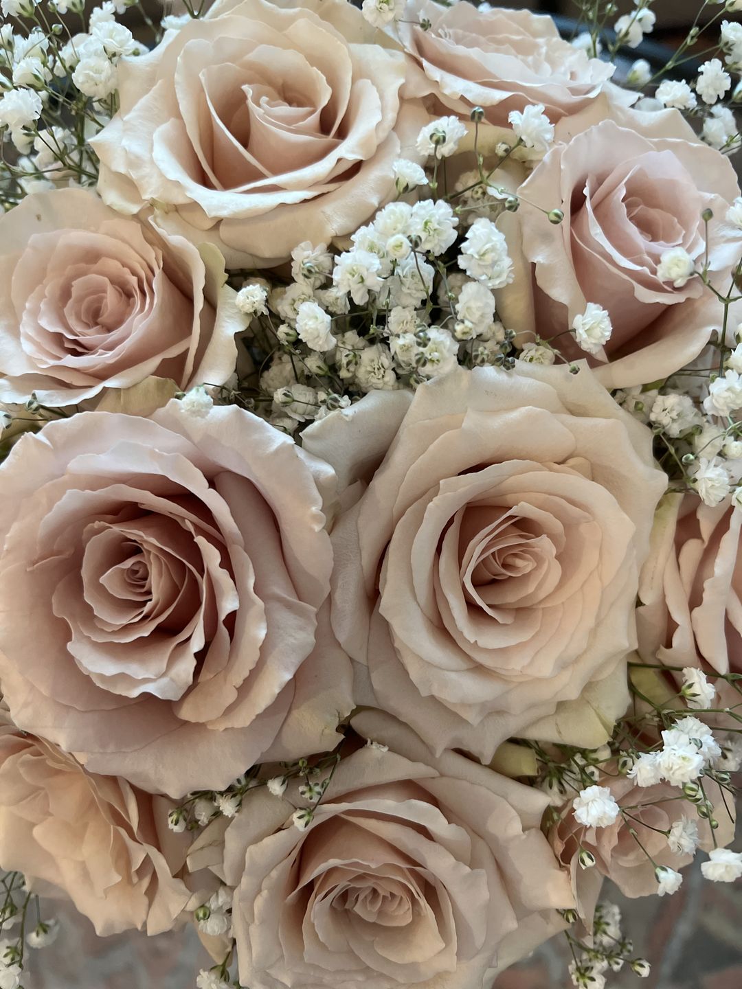 Customer photo review of Quicksand Roses