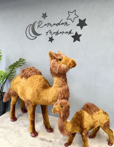 Customer photo review of The Ultimate Ramadan + Eid Decor Set