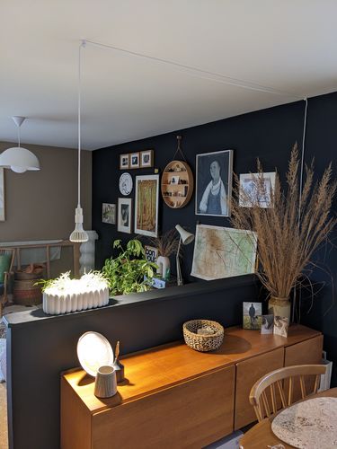 Customer photo review of Pianta Grow Light and Enna Plug-in Ceiling Pendant Bundle