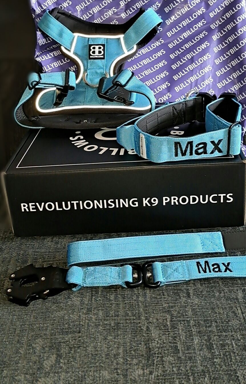 Customer photo review of Premium Comfort Harness | Non Restrictive & Adjustable - Light Blue