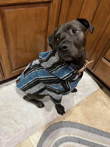 Customer photo review of Playa Poncho - Surprise Color