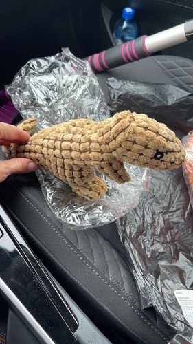 Customer photo review of Indestructible® Toy - Uforgængelig Plys Dinosaur Legetøj -