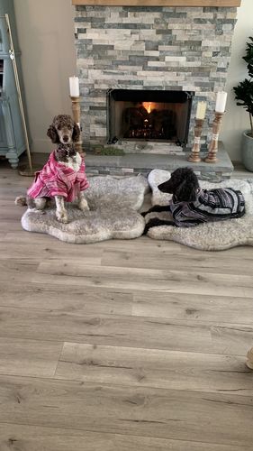 Customer photo review of Playa Poncho - Surprise Color