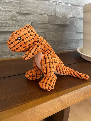Customer photo review of Indestructible® Toy - Uforgængelig Plys Dinosaur Legetøj