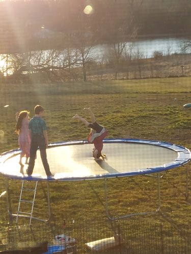 Customer photo review of 1500lbs High Capacity 15FT Round Trampoline for Adults&Kids
