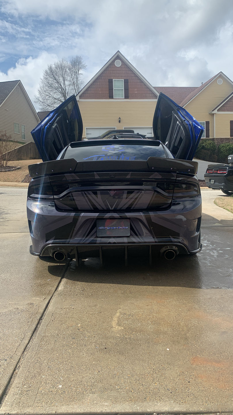Customer photo review of Complete Your Purchase