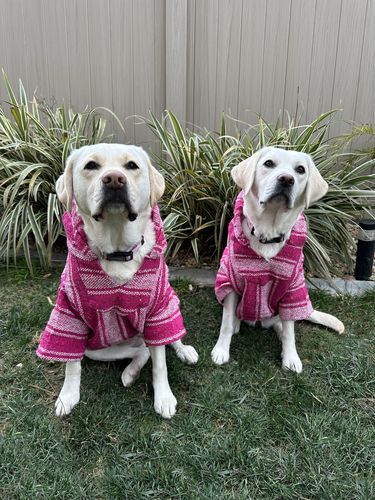 Customer photo review of Playa Poncho - Surprise Color