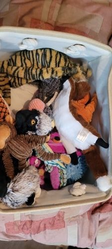 Customer photo review of Indestructible® Toy - Uforgængelig Plys Dinosaur Legetøj