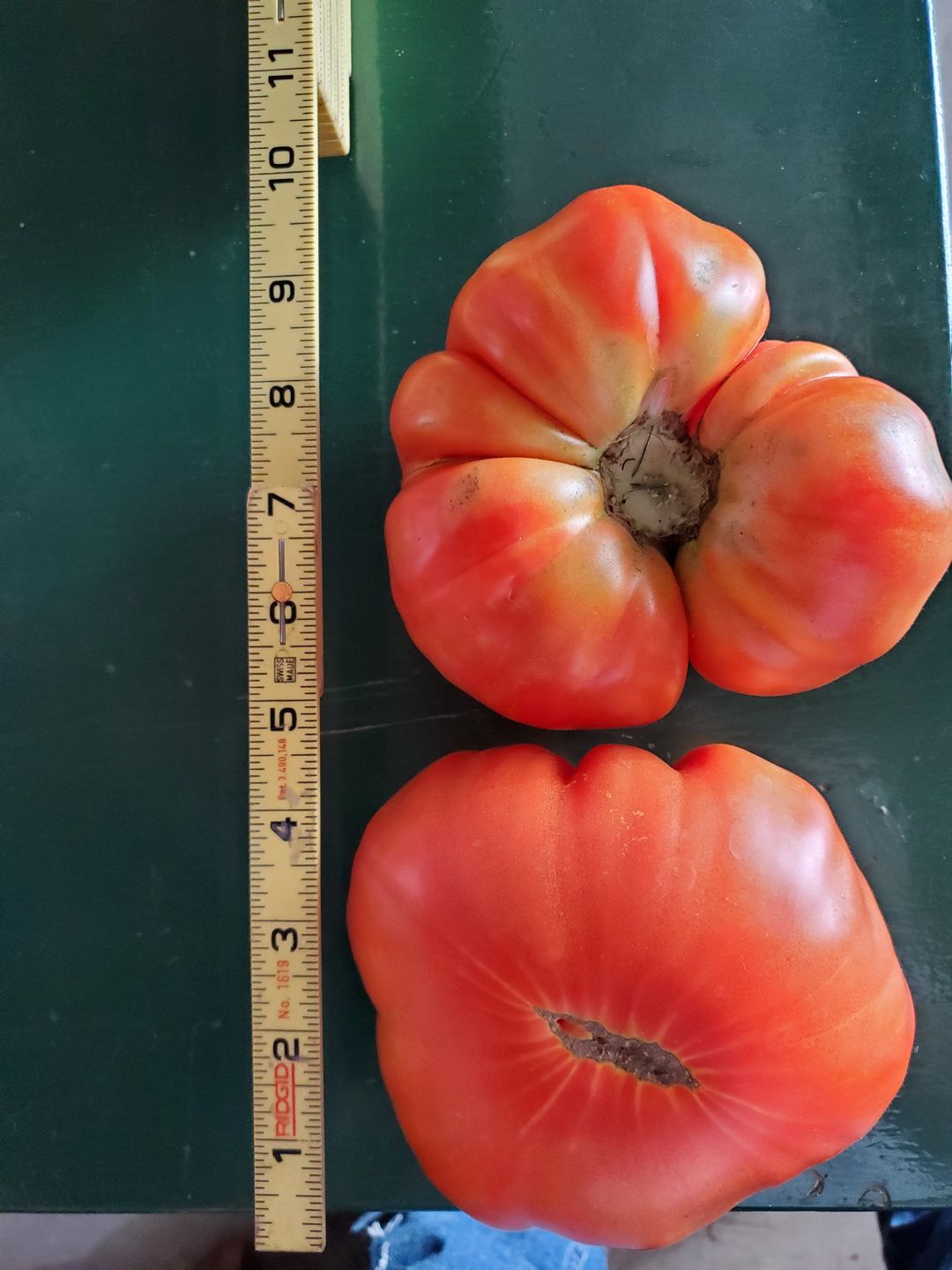 Customer photo review of Ancient Soil