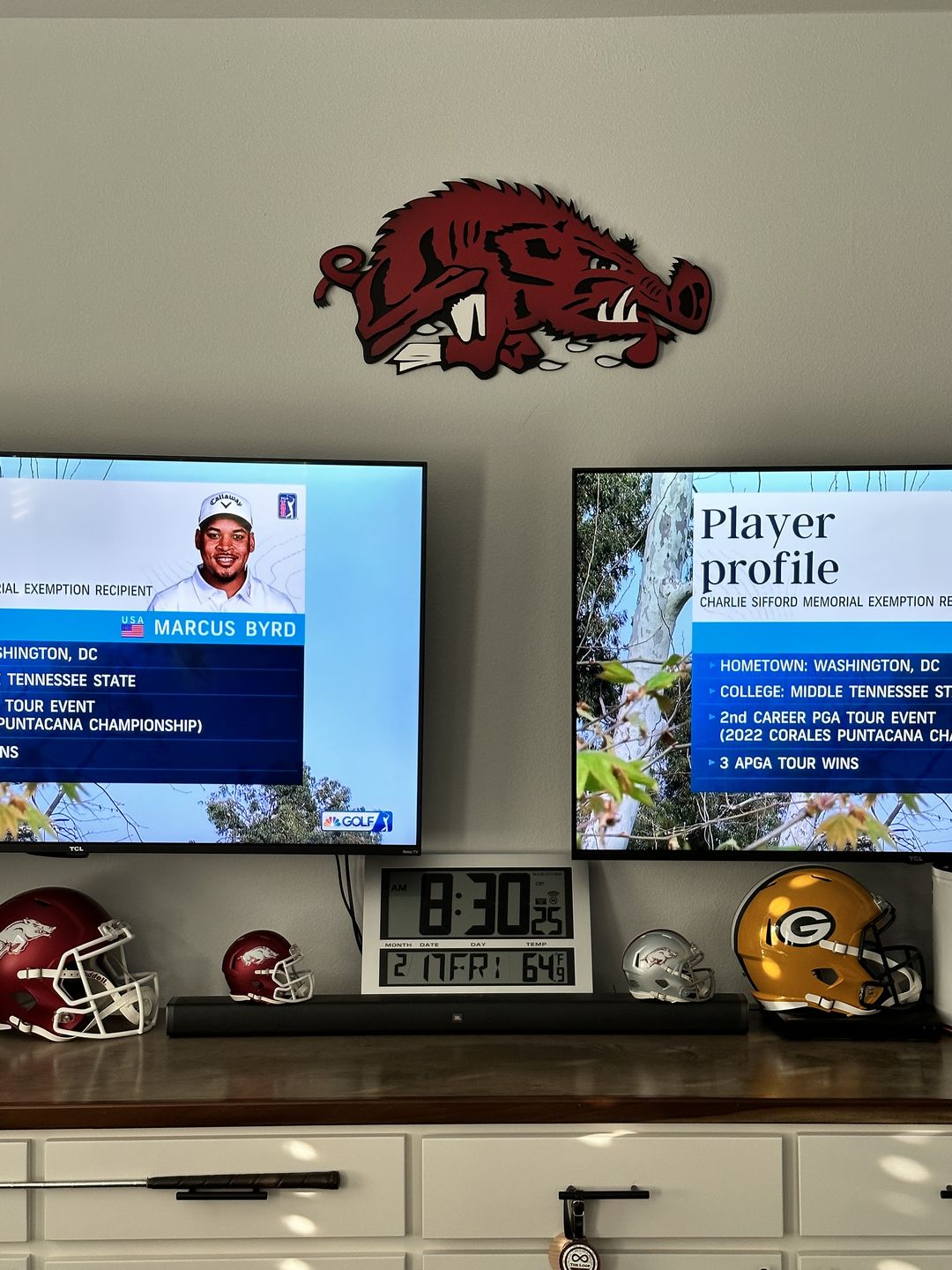 Customer photo review of Arkansas Razorbacks VAULT "Slobbering Hog" 3D Vintage Metal Wall Art