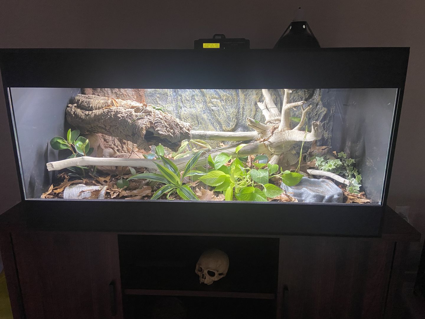 Customer photo review of 48"x24"x24" / 4'x2'x2' Premium PVC Reptile Enclosure