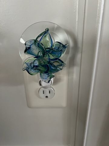 Customer photo review of Memorial Nightlight Flower with Cremation Ash
