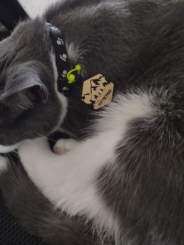 Customer photo review of Mountain Silicone