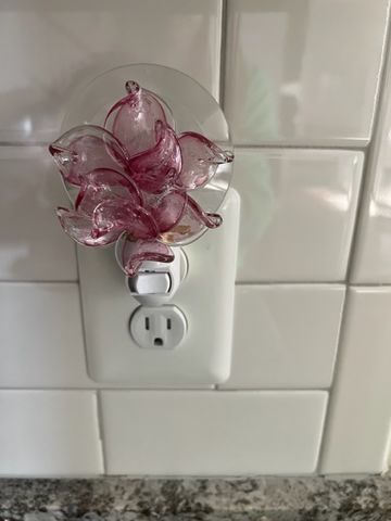 Customer photo review of Memorial Nightlight Flower with Cremation Ash
