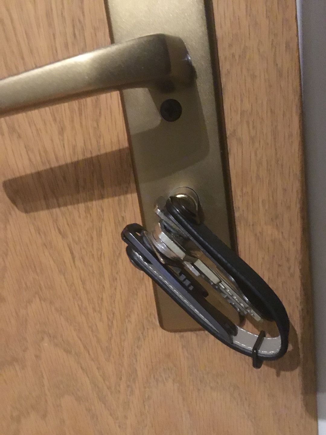 Customer photo review of Infinity Key Case 2 Limited