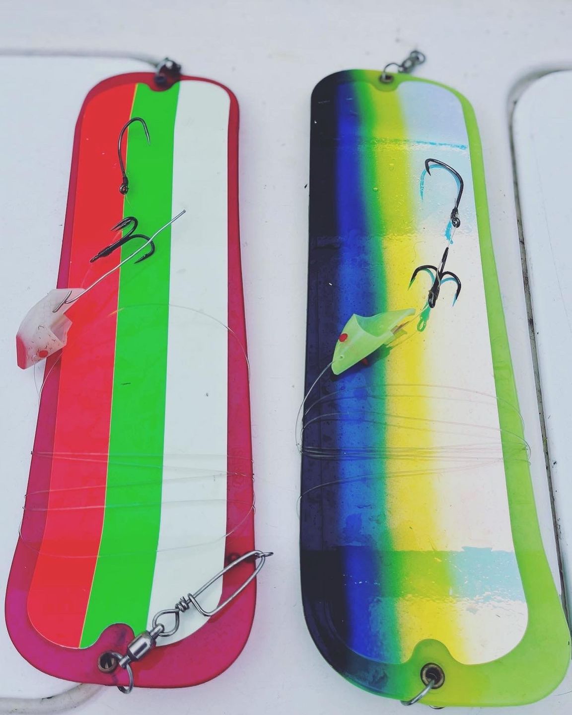 Customer photo review of Anchovy Special - Glow