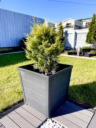 Customer photo review of Taper Square Planter 40cm