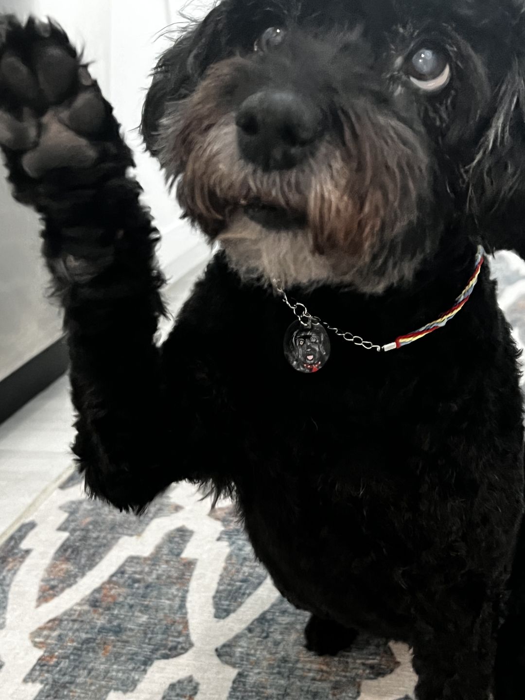 Customer photo review of Custom Pet Portrait Tag