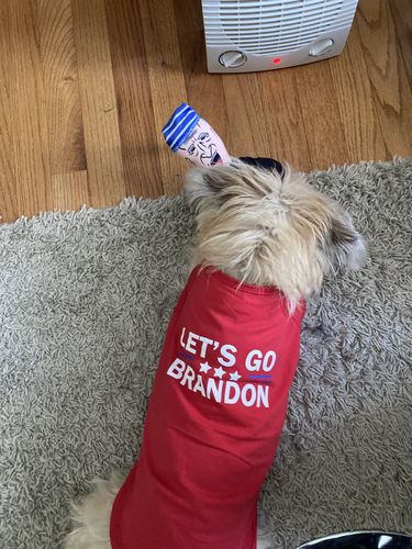 Customer photo review of Let's Go Brandon Dog Shirt