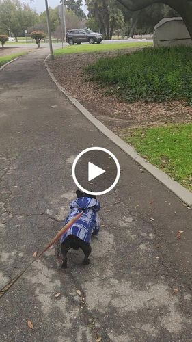 Customer video review of Playa Poncho - Surprise Color