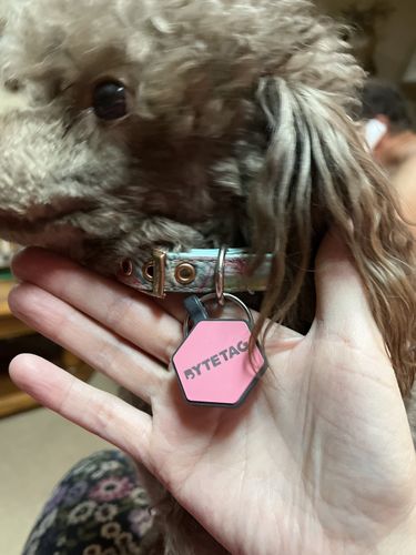 Customer photo review of Pink Silicone