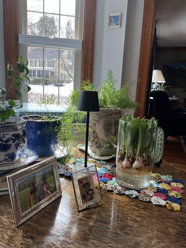 Customer photo review of Florence - Italian Designer Lamp