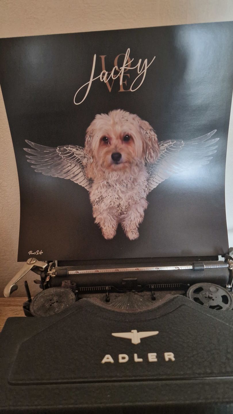 Customer photo review of Personalisiertes Portrait - Silberner Engel Stil