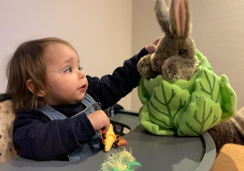 Customer photo review of Lapin dans une laitue avec 3 mini bêtes Marionnette