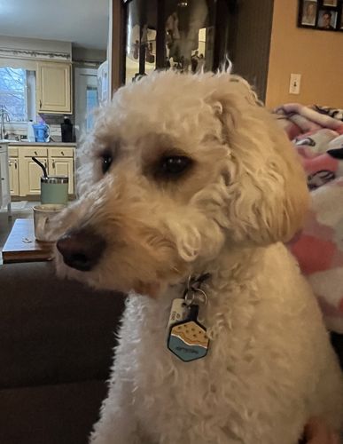 Customer photo review of Beach Silicone