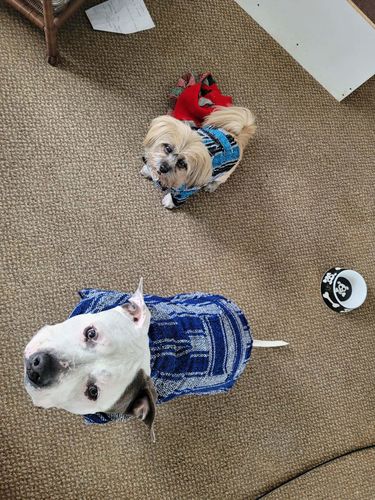 Customer photo review of Playa Poncho - Surprise Color