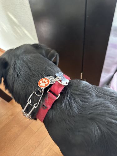 Customer photo review of Rabimune®