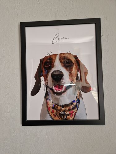 Customer photo review of Πορτραίτο Κατοικίδιου - Πόστερ με κάδρο