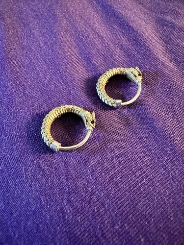 Customer photo review of Ouroboros Earrings