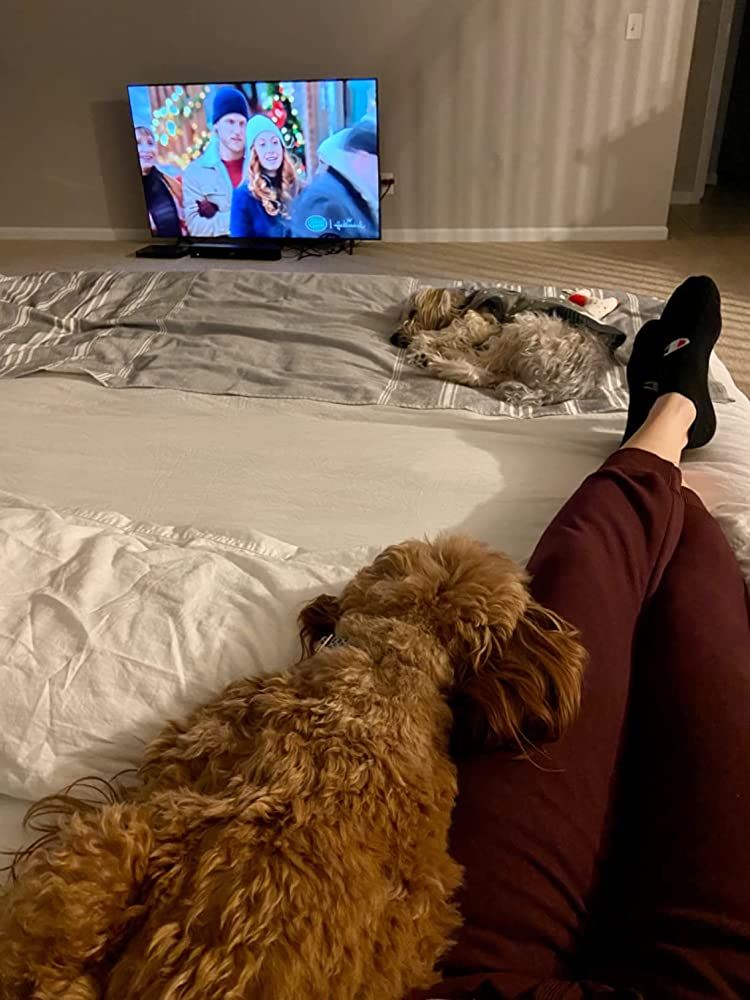 Customer photo review of King Koil Luxury Air Mattress with High Speed Built-in Pump