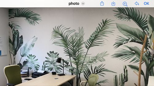 Customer photo review of Papier peint panoramique tendance tropicale oiseau du paradis
