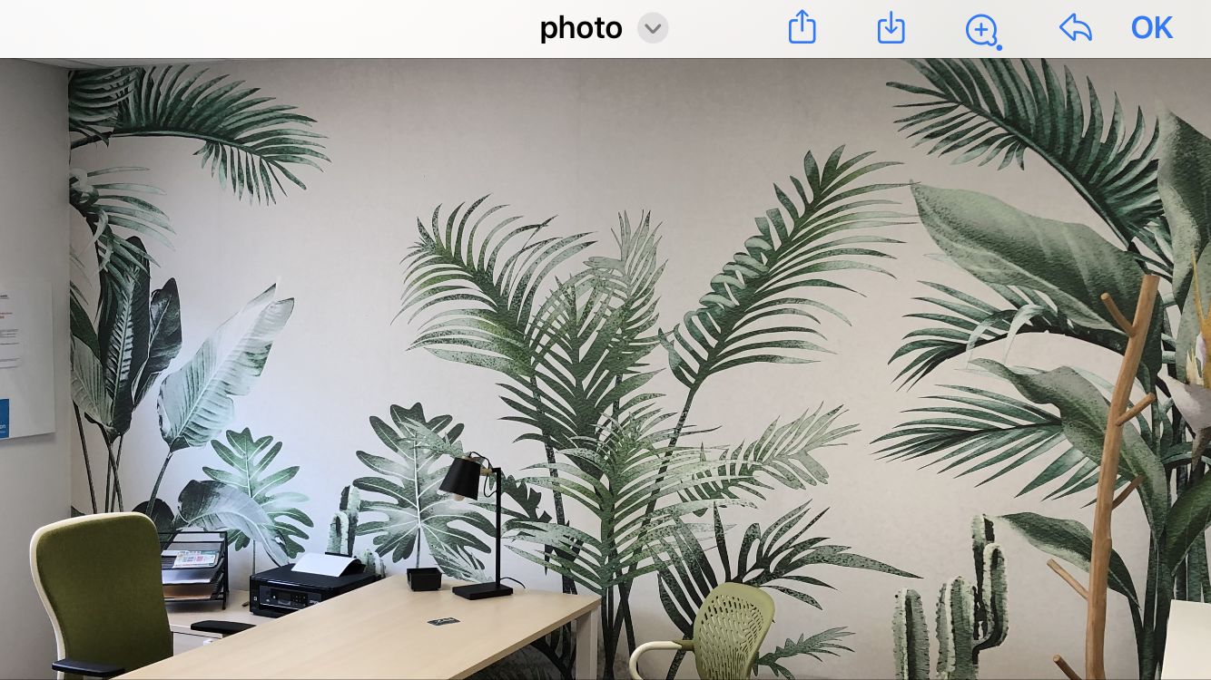 Customer photo review of Papier peint panoramique tendance tropicale oiseau du paradis