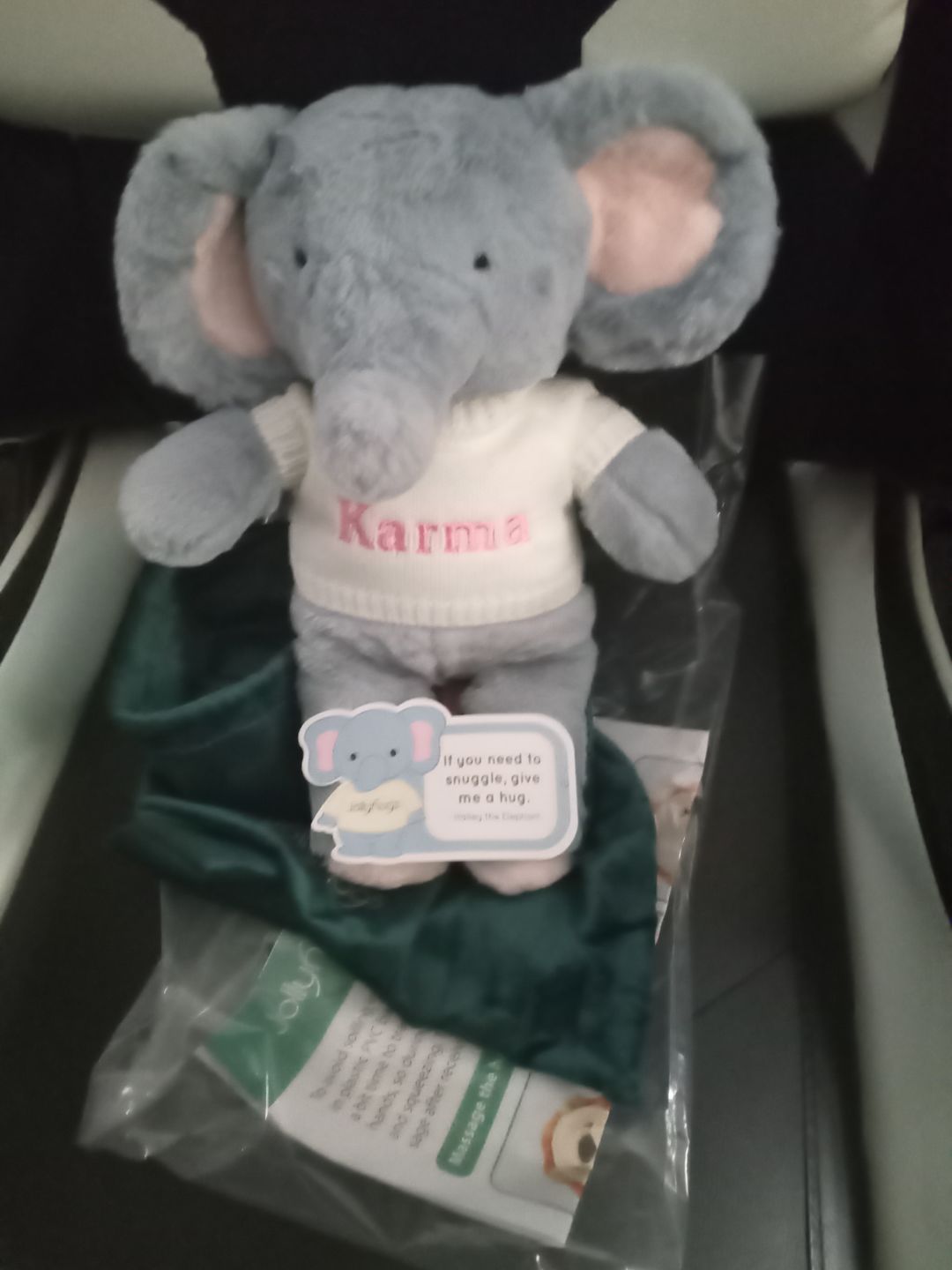 Customer photo review of Jollyhugs™ Personalized Stuffed Animals