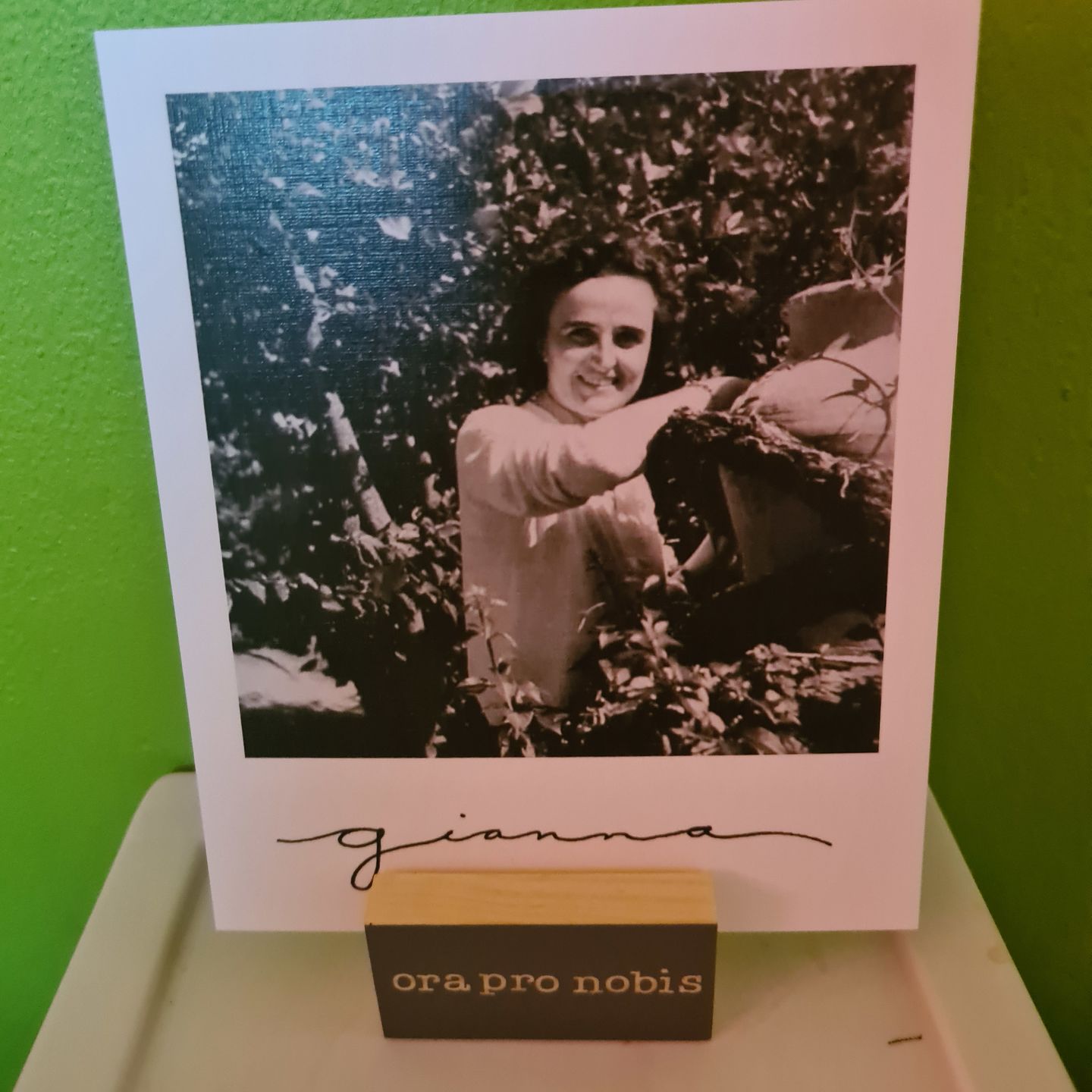 Customer photo review of Custom Polaroid Saint Pack