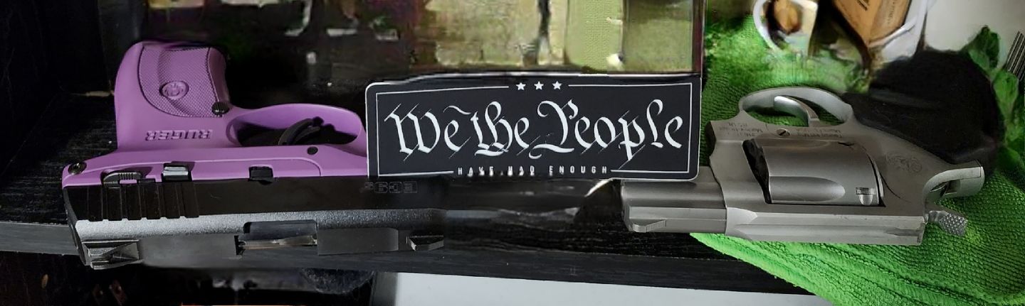 Customer photo review of We the People Decal