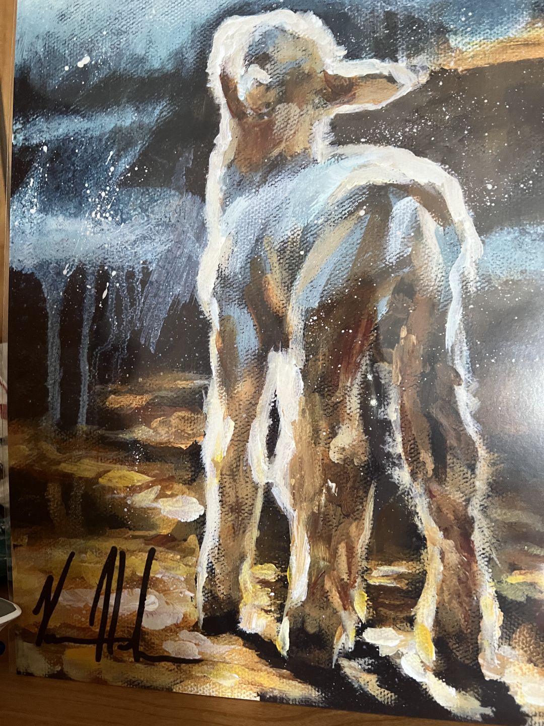 Customer photo review of In the Light of Your Presence