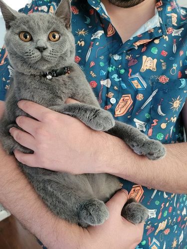Customer photo review of Dnd Adventure Button Up Shirt