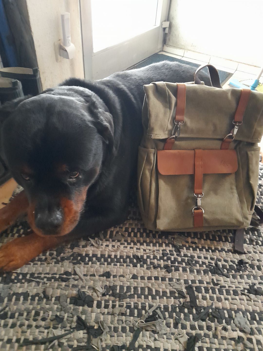 Customer photo review of Ukiyo Wald