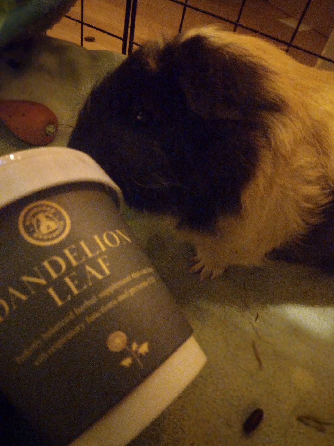 Customer photo review of Dandelion Leaf Treat Cup