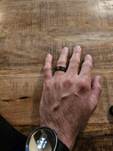 Customer photo review of The Meteorsaur