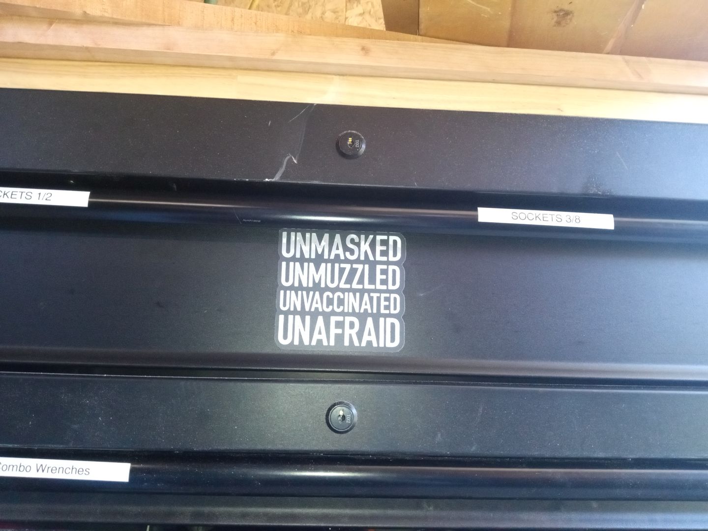 Customer photo review of Unmasked Unmuzzled Decal