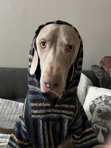 Customer photo review of Playa Poncho - Surprise Color