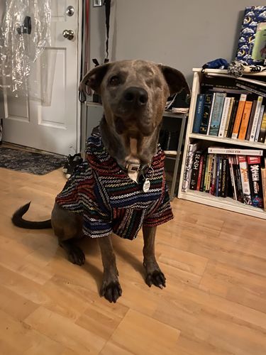 Customer photo review of Playa Poncho - Surprise Color