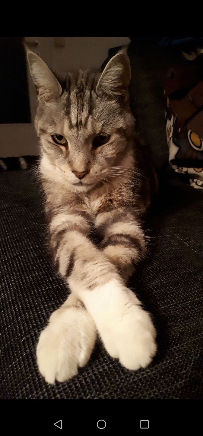 Customer photo review of LUNAS DARM-STÄRKER