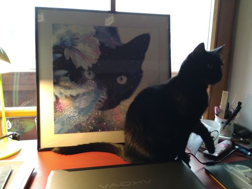 Customer photo review of 5D Diamond Painting schwarze Katze